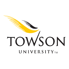 Assignment writing services